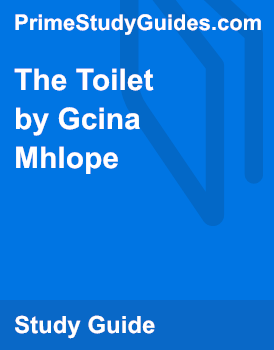 The Toilet By Gcina Mhlope Analysis Primestudyguides Com