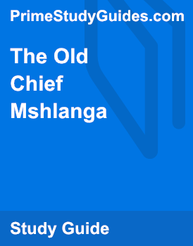 Characterisation Of The Girl From The Old Chief Mshlanga